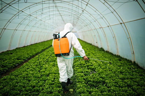Best Ant Control Services  in Dillsburg, PA